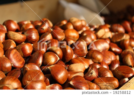 Baked chestnut Italy 19258812