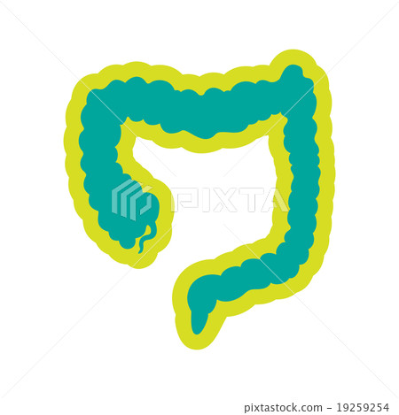 Icon of human duodenum in flat style Icon of human duodenum in flat style 19259254