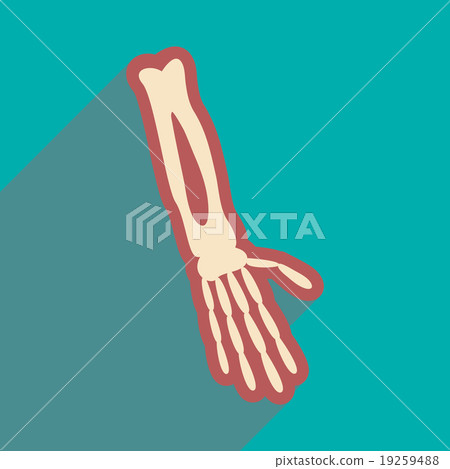 flat icon with long shadow bones of human hand  19259488