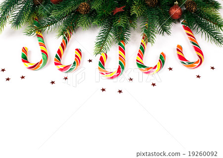 Christmas tree branches 19260092