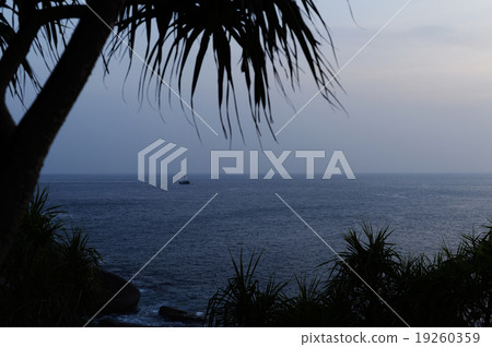 Similan island 19260359