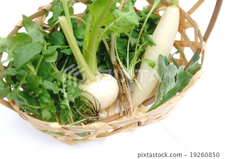 七種春天的草藥 19260850