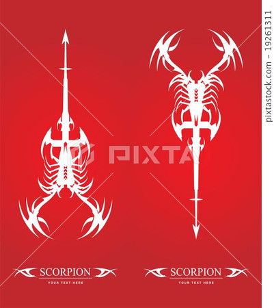 scorpion. white scorpion with the arrow tail 19261311