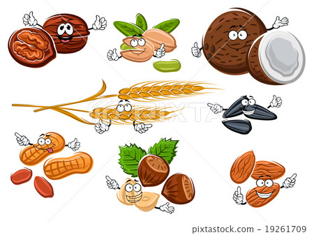 Isolated nuts, seeds and cereal ears 19261709