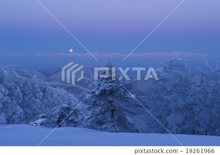 Plateau before dawn 19261966
