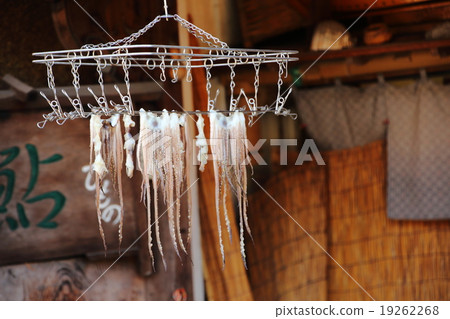 Dried squid Dried squid 19262268