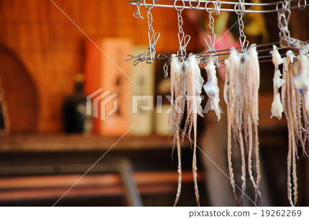 Dried squid 19262269