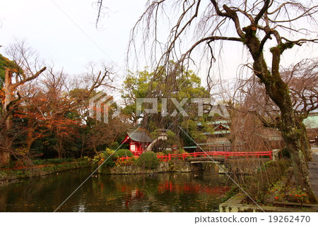 Mishima Taisha 19262470