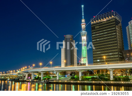 Tokyo Skytree in night light view Tokyo Skytree in night light view 19263055