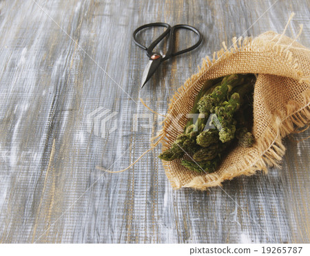 asparagus in a canvas bag with pair of scissors on asparagus in a canvas bag with pair of scissors on 19265787