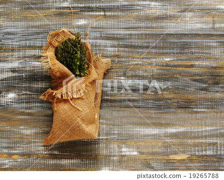 asparagus in a canvas bag with on wooden table asparagus in a canvas bag with on wooden table 19265788