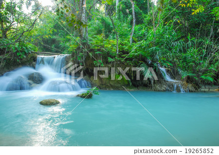 waterfall waterfall 19265852