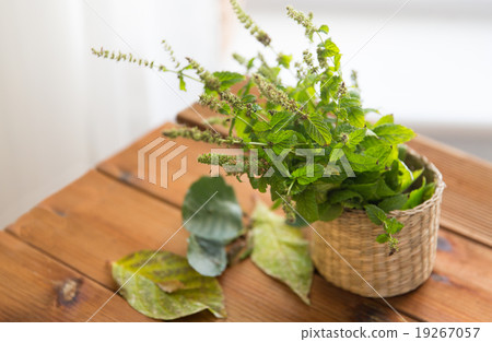close up of melissa in basket on wooden table 19267057
