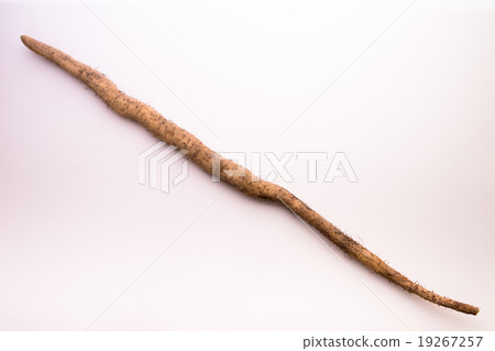 Yam 19267257