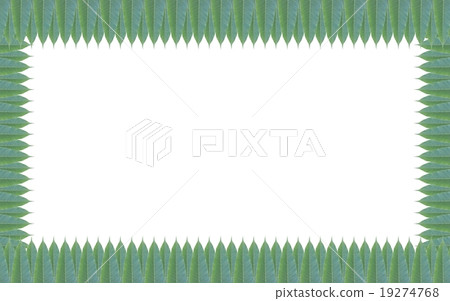 Green leaves frame isolated on white background Green leaves frame isolated on white background 19274768