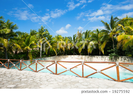 tropical beach tropical beach 19275592
