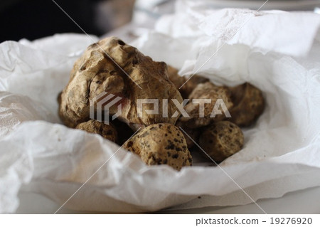 White truffle from Alba 19276920