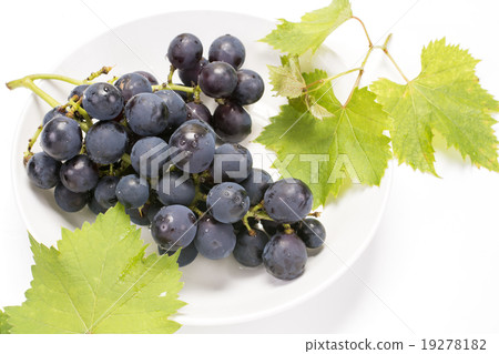 Fruits and leaves of grapes on a white dish 19278182