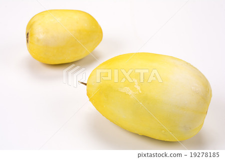 Fruit of cucumber 19278185