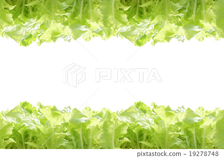 agricultural agricultural 19278748