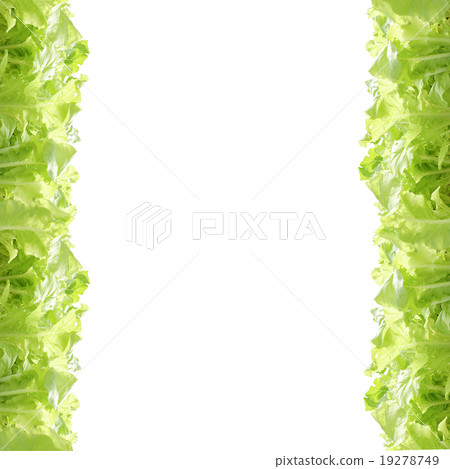 agricultural 19278749