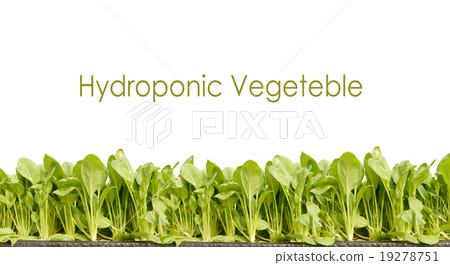 agricultural agricultural 19278751