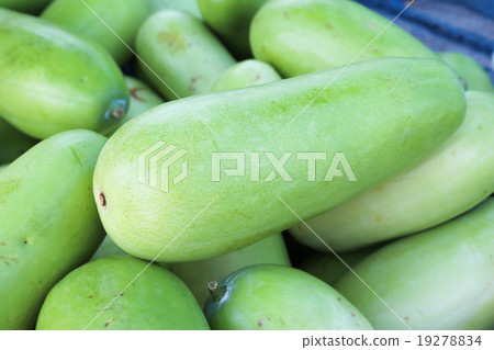 fresh vegetable 19278834