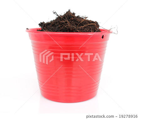 tree pot 19278916