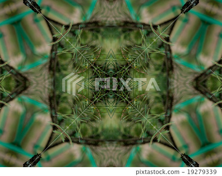 Green abstract kaleidoscope background Green abstract kaleidoscope background 19279339
