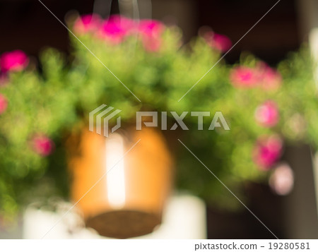 blur view flower pot hang on roof, blur background blur view flower pot hang on roof, blur background 19280581