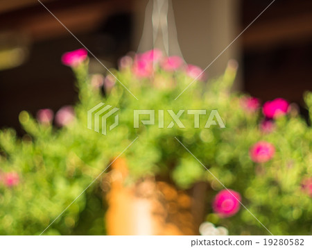 blur view flower pot hang on roof, blur background blur view flower pot hang on roof, blur background 19280582