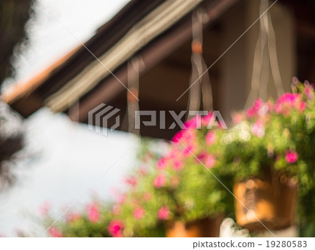 blur view flower pot hang on roof, blur background blur view flower pot hang on roof, blur background 19280583