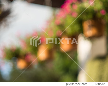 blur view flower pot hang on roof, blur background blur view flower pot hang on roof, blur background 19280584