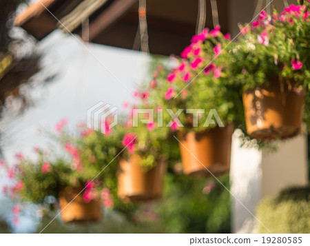 blur view flower pot hang on roof, blur background blur view flower pot hang on roof, blur background 19280585