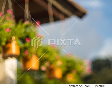 blur view flower pot hang on roof, blur background blur view flower pot hang on roof, blur background 19280586