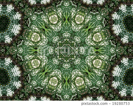 Green abstract kaleidoscope background 19280753