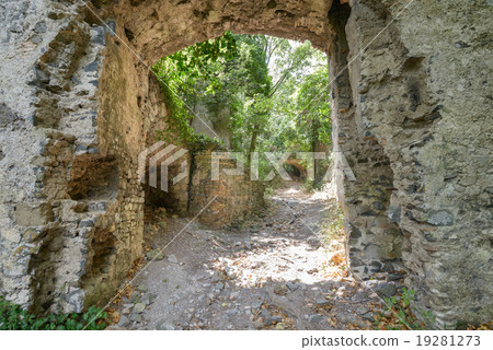 ruined castle in a wood ruined castle in a wood 19281273