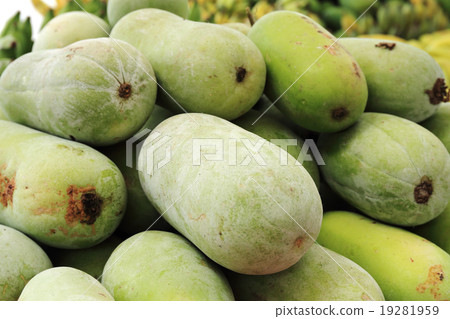 green squash green squash 19281959