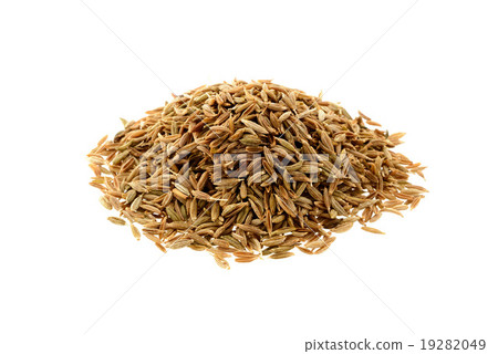 孜然種子 孜然種子 19282049