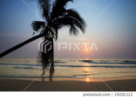 Tropical beach at sunrise Tropical beach at sunrise 19282121
