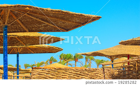 sunshades on the beach sunshades on the beach 19285282