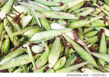 Fresh corn with husk 19285401