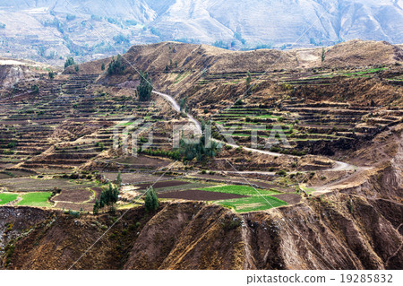 terraces and the road 19285832