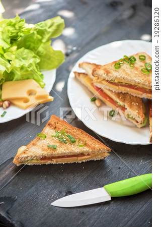 Cheese tasty sandwich Cheese tasty sandwich 19286120