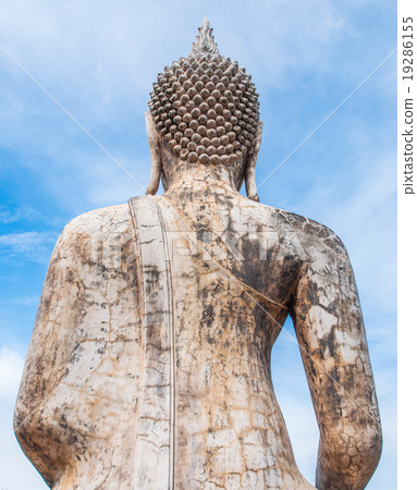 buddha buddha 19286155