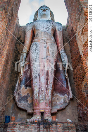 buddha buddha 19286161