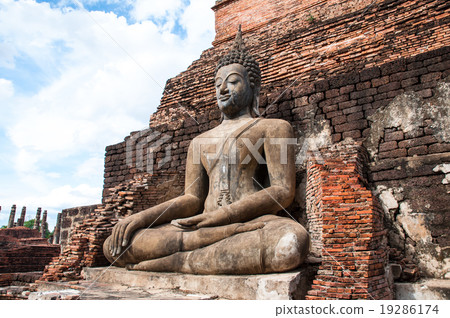 buddha buddha 19286174