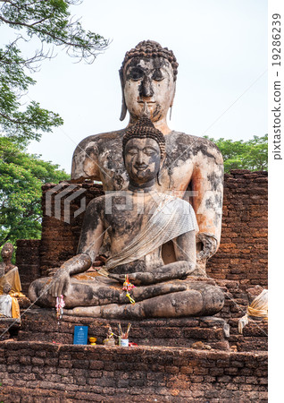 buddha buddha 19286239