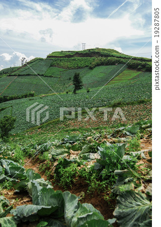 PHUTHAPBOEK PHETCHABUN PHUTHAPBOEK PHETCHABUN 19287805