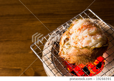 發蟹衣領外殼 19288391